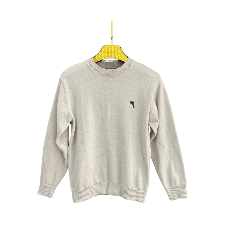 Pull garçon col rond uni – Beige