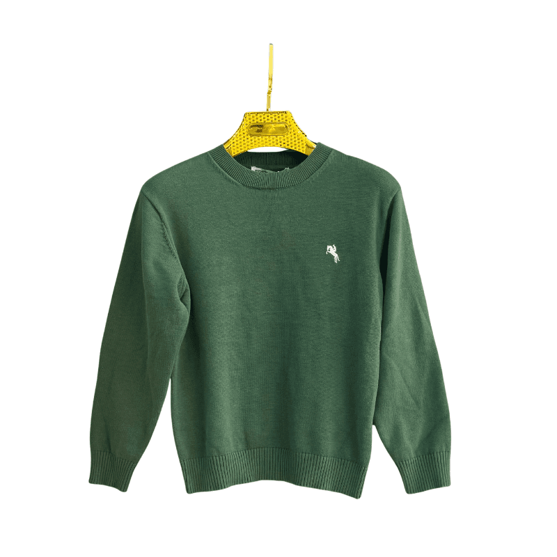 Pull garçon col rond uni – Vert