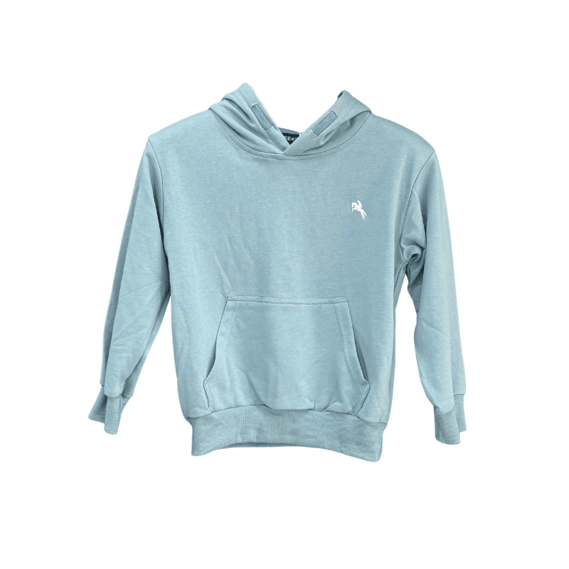 Sweat à capuche garçon uni – Bleu ciel